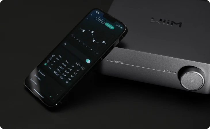 WiiM Amp (Grey) - Image 4
